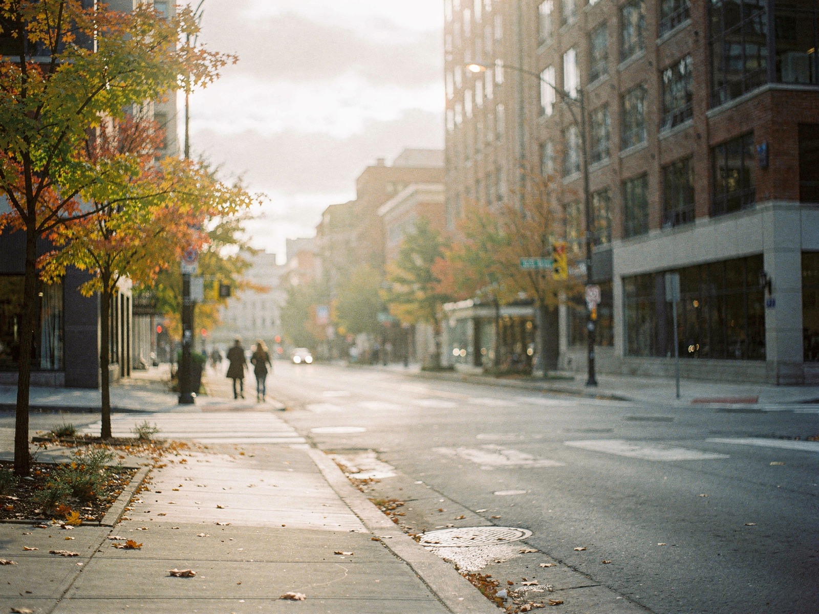 Illustrative photo of a Toronto street in autumn light. Not a picture of our street.